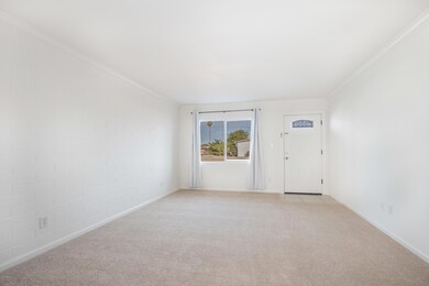 Large Living Room