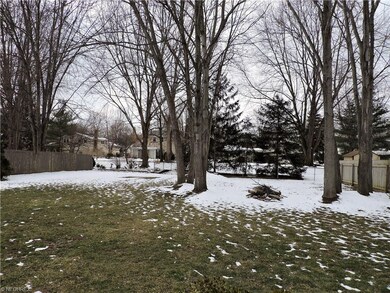 Fenced in backyard