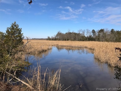 14 Goose Creek Dr, Shacklefords, VA 23156 - photo 3