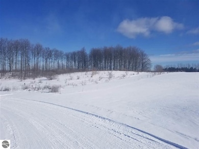 13507 S Bahia Vista Dr unit 16, Traverse City, MI 49684 - photo 3