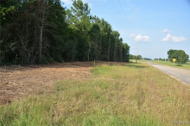 22877 Highway 84, Elba, AL 36323 - photo 3