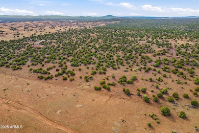 TBD Silver Lake Blvd 16 32 Acres -- unit L & N, Show Low, AZ 85901 - photo 7