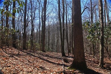 1464 Roaring Fork Rd, Burnsville, NC 28714 - photo 6