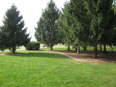 Front Pines