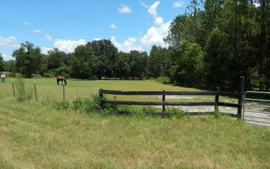 0 Bald Eagle Loop unit 94849, Lake City, FL 32025 - photo 3