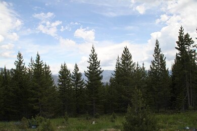 0 Eagle View Trail unit 206501, Big Sky, MT 59716 - photo 7