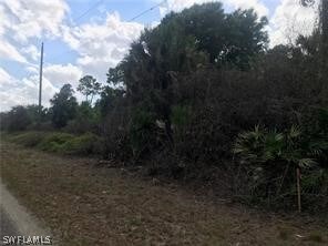 758 Milano Ave S, Lehigh Acres, FL 33974 - photo 3