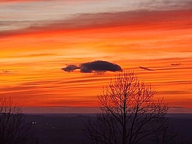 TBD Alpine Way, Fancy Gap, VA 24328 - photo 4