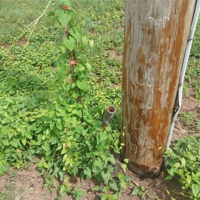 1085 Deen Point Rd, Benton, LA 71006 - photo 6