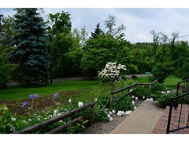 Yard/Garden.
