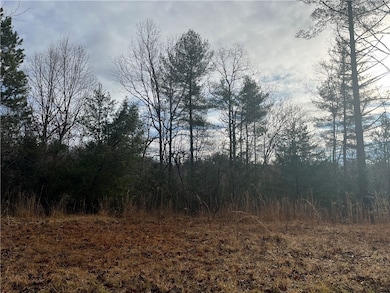 View from Davidian Way side of the 3.41 acre