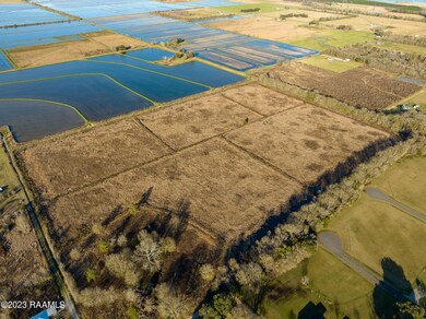 Tbd Napoleon St, Mamou, LA 70554 - photo 2