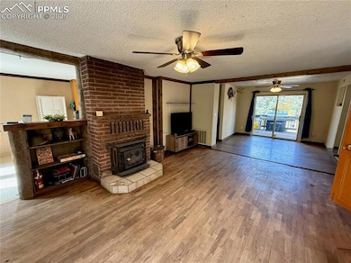 753 Will Stutley Dr, Divide, CO 80814 - photo 4