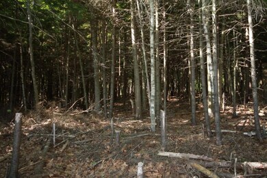 0 Arrowhead Rd unit 1232381, Boothbay, ME 04537 - photo 6