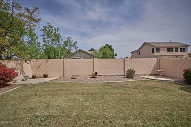 Backyard5