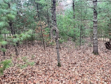 1787 Badger Ct, Monroe, WI 54613 - photo 4