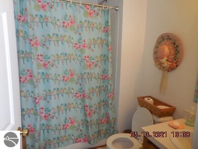 5305 E Michigan Ave, Au Gres, MI 48703 - photo 5