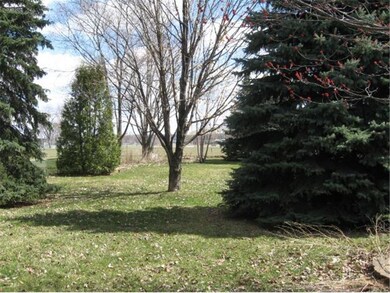 Fenced in Backyard