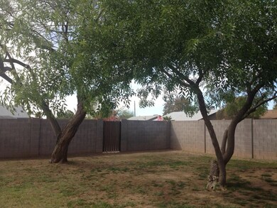Large Shady Backyard