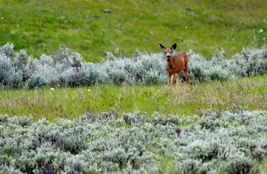 0 S Fork Rd unit 98650409, John Day, OR 97825 - photo 2