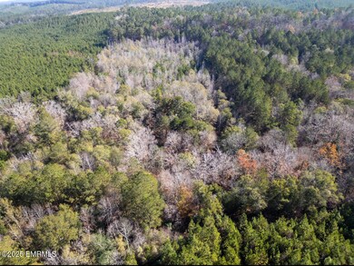 000 Suqualena Meehan Rd S, Meridian, MS 39307 - photo 4