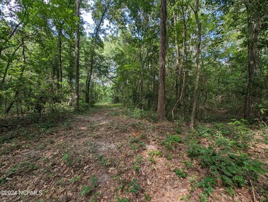 PXL_20240613_201134504