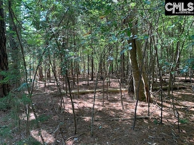 0 Eleazer (Parcel C) Rd unit 621895, Irmo, SC 29063 - photo 7