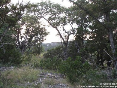 19519 Terra Elm, San Antonio, TX 78255 - photo 6