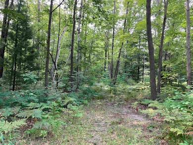 3642 Beech St, Beaverton, MI 48612 - photo 2