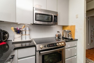Jamaicaway Tower and Townhouses unit 282, Jamaica Plain, MA 02130 - photo 7