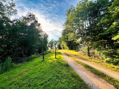 3202 Lego School Rd, Linden, TN 37096 - photo 6