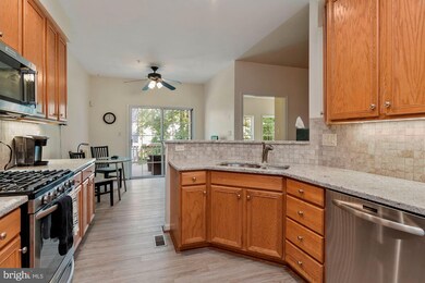 6424 Hickory Overlook, Columbia, MD 21044 - photo 3