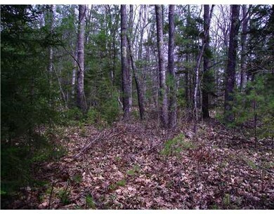 Other. Lightly wooded, many hardwood...