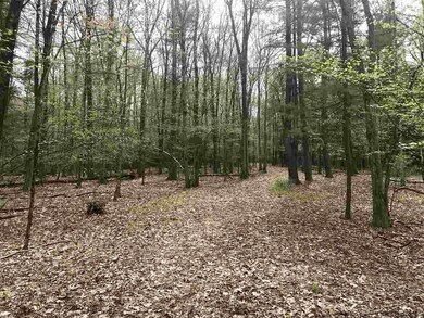 60 Lawrence Hill Rd, Rochester, NY 12404 - photo 3