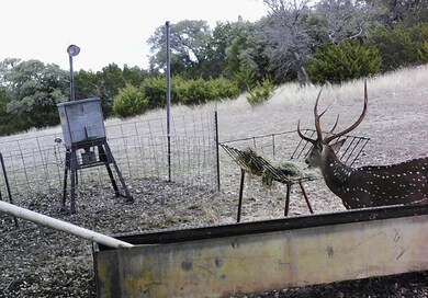 Abundant Wildlife