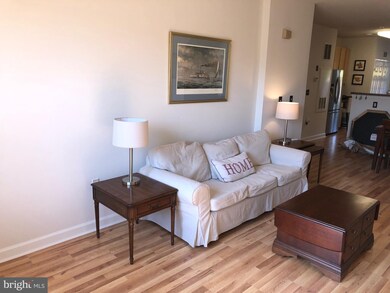 22579 Blue Elder Terrace, Ashburn, VA 20148 - photo 4