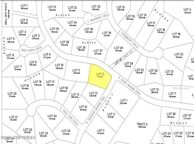 L12 B9 N Mountain Meadow Trail, Palmer, AK 99645 - photo 4