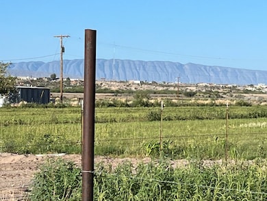 view south