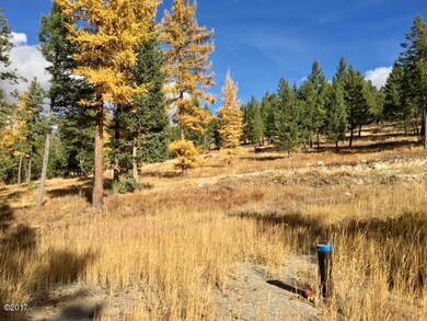 561 Spring Hill Rd, Kalispell, MT 59901 - photo 3