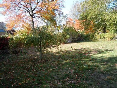 Yard/Garden.