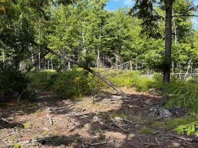 0 Pine St unit 50 5060731, Hopkinton, NH 03229 - photo 5