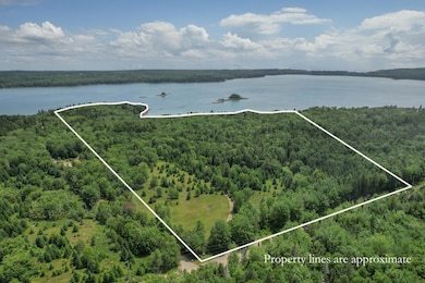 Property lines 1
