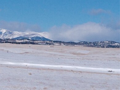 0 Raven Ln unit S1040890, Hartsel, CO 80449 - photo 4