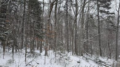 0 Bergrucken Ln, Readsboro, VT 05350 - photo 5