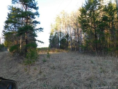 10.81 Ac. Fairmount Rd unit 2, Statesville, NC 28625 - photo 5