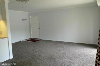 207 Erin Way unit 101, Reisterstown, MD 21136 - photo 4