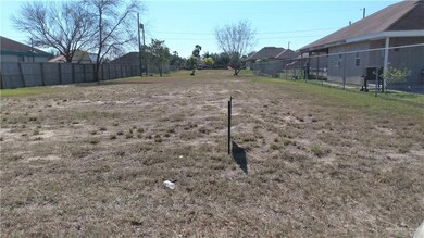 2005 Puerto Rico Ave, Weslaco, TX 78596 - photo 6