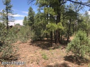 360 Aspen Way unit 207, Show Low, AZ 85901 - photo 6