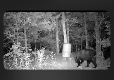 TR 21&22 Pine Tree Trail, Albion, OK 74571 - photo 2