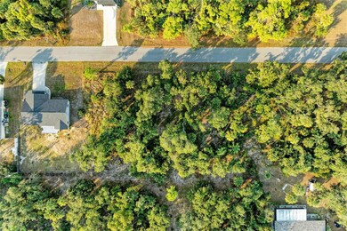 15443 Demas Ave, Port Charlotte, FL 33954 - photo 5